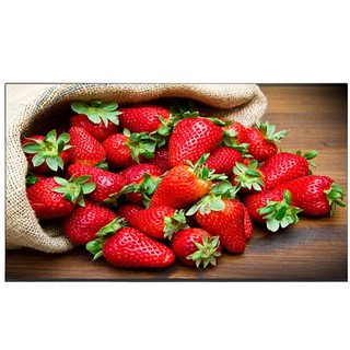 TIVI OLED SONY 65A9F 65INCH