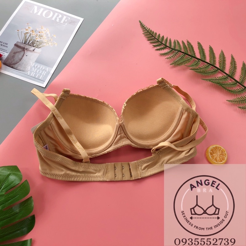 Áo ngực ren có gọng, lót nữ form tròn đẹp, đệm vừa Thái Lan Sister hood 784 - angel.bra