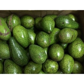 BƠ 034 VƯỜN LÂM ĐỒNG(SIZE 2QUẢ/1KG)