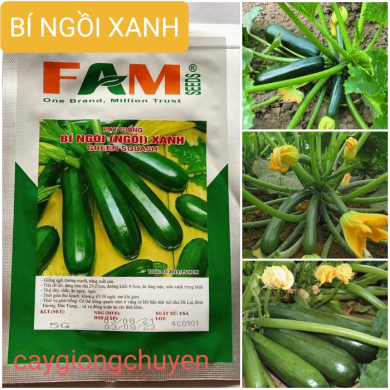 GÓI HẠT GIỐNG BÍ NGỒI