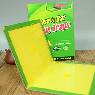 [sale đón tết] Keo dán chuột - Miếng dán bẫy chuột thông minh