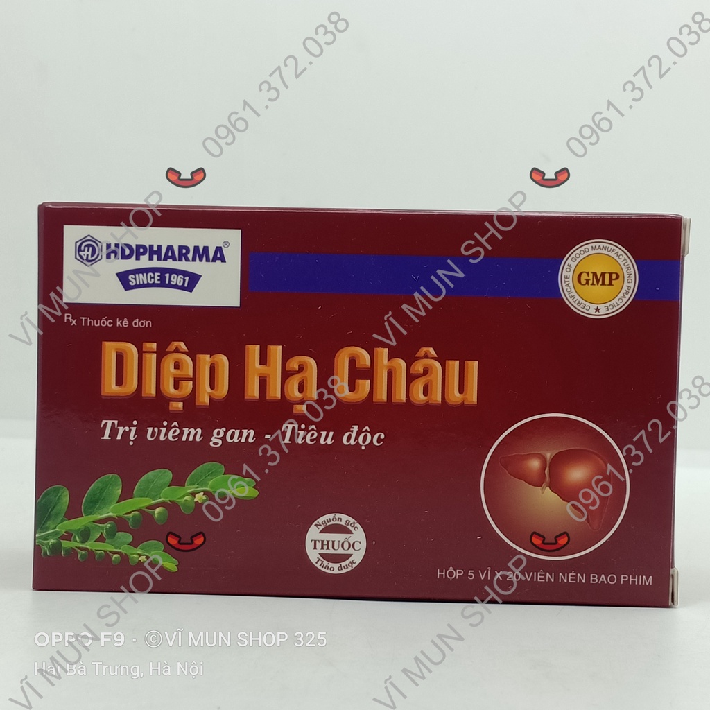 Diệp Hạ Châu 100 viên
