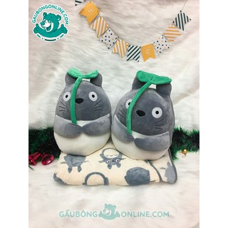Gối Mền - Totoro PK