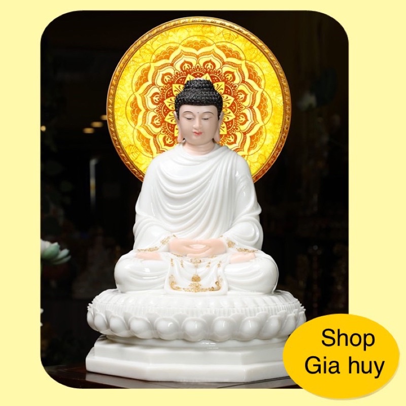 Hào Quang Trúc Chi
