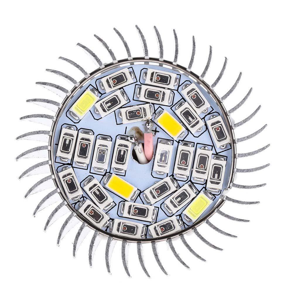 Full Spectrum E27 Led Grow Light Growing Lamp Light Bulb For Flower Plants | BigBuy360 - bigbuy360.vn