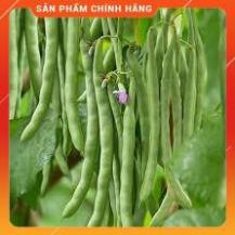 HẠT GIỐNG ĐẬU COVE LEO CAO SẢN - 50gam