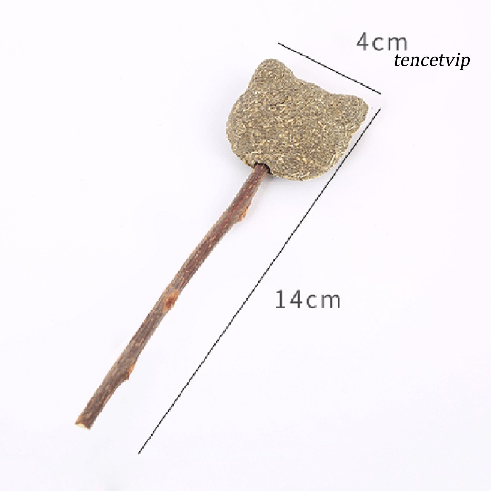 Đồ Chơi Gặm Nhắm Hình Đầu Gấu Dễ Thương Cho Mèo Cưng