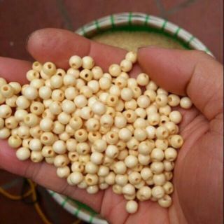100 hạt dâu tằm cành 6mm ( dâu tằm nhà làm )