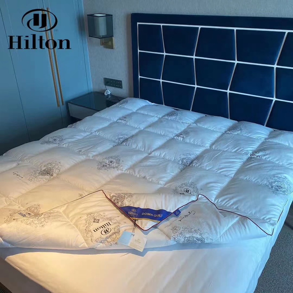 RUỘT CHĂN| RUỘT CHĂN HILTON LÔNG VŨ SIÊU NHẸ