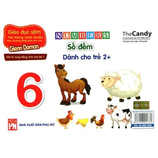 Flashcard - Thẻ Dạy Trẻ Theo Phương Pháp Glenn Doman - Số Đếm (Number)