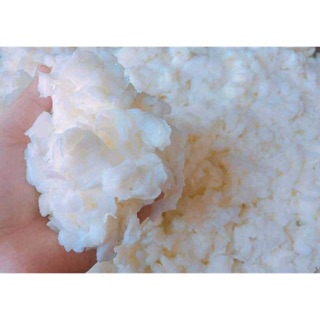 Set thạch dừa thô và hạt chia hoặc é dùng thử