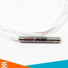 Dây Cảm Biến Nhiệt Độ PT100 WZP