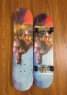 Ván trượt skateboard