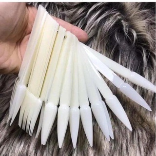 MÓNG GẮN SỔ TRƯNG BÀY MÓNG GÀI SỔ