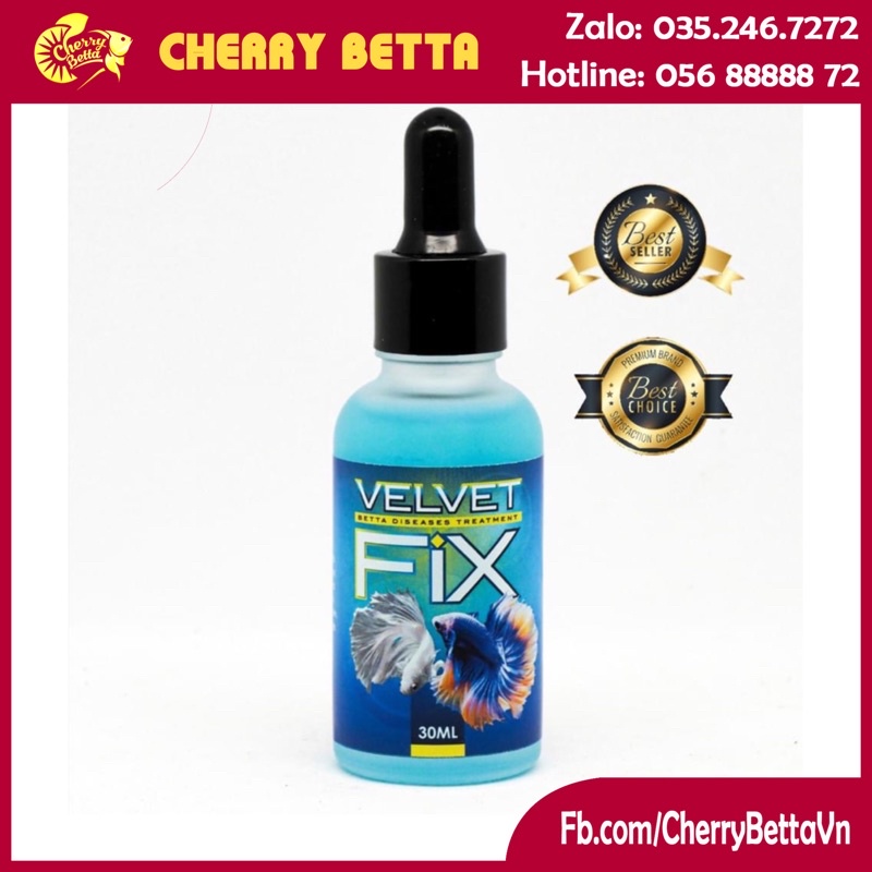 Thuốc trị nấm cho cá Betta 💥💥 VelvetFix hiệu quả, nhanh chóng