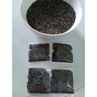 1 gói 400 hạt giống an xoa