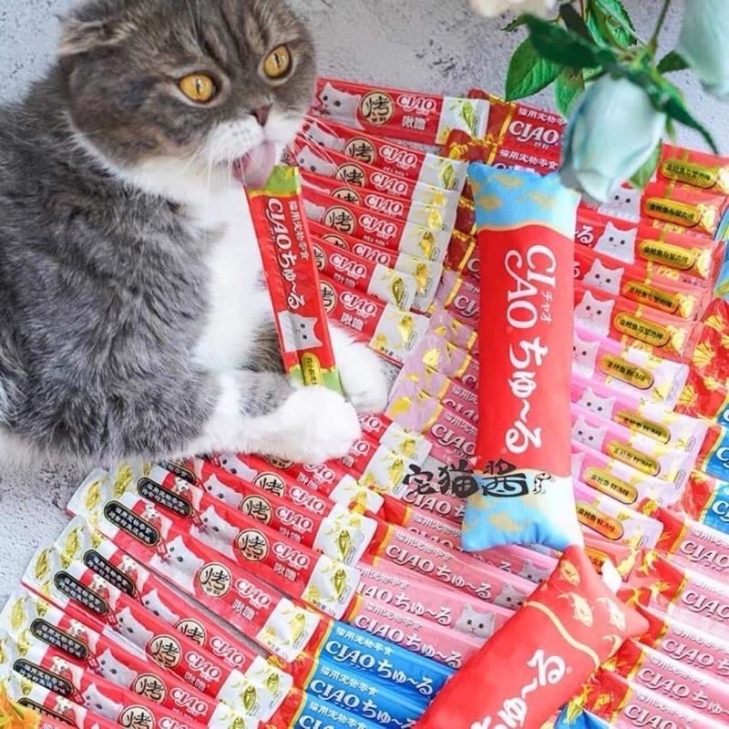 1 thanh súp thưởng ciao churu cho mèo