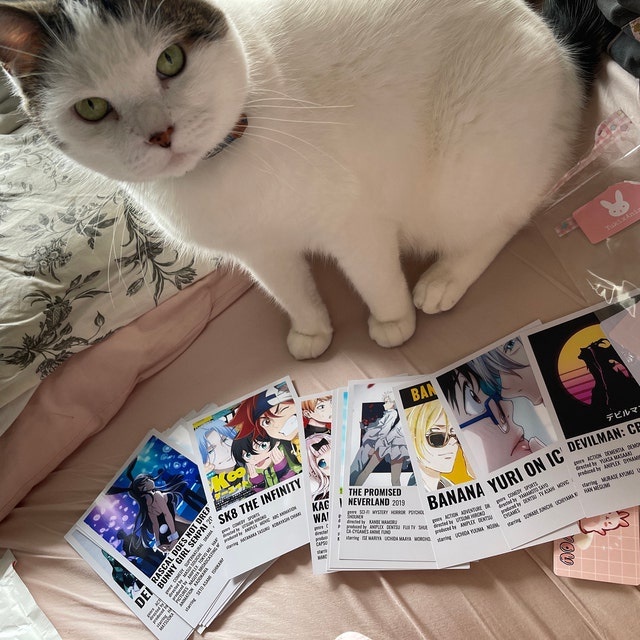 Set 100 tấm dán tường Manga / Anime - Anime Posters | Minimalist Posters | Polaroid Posters | Wall Collage - Cán bảo vệ