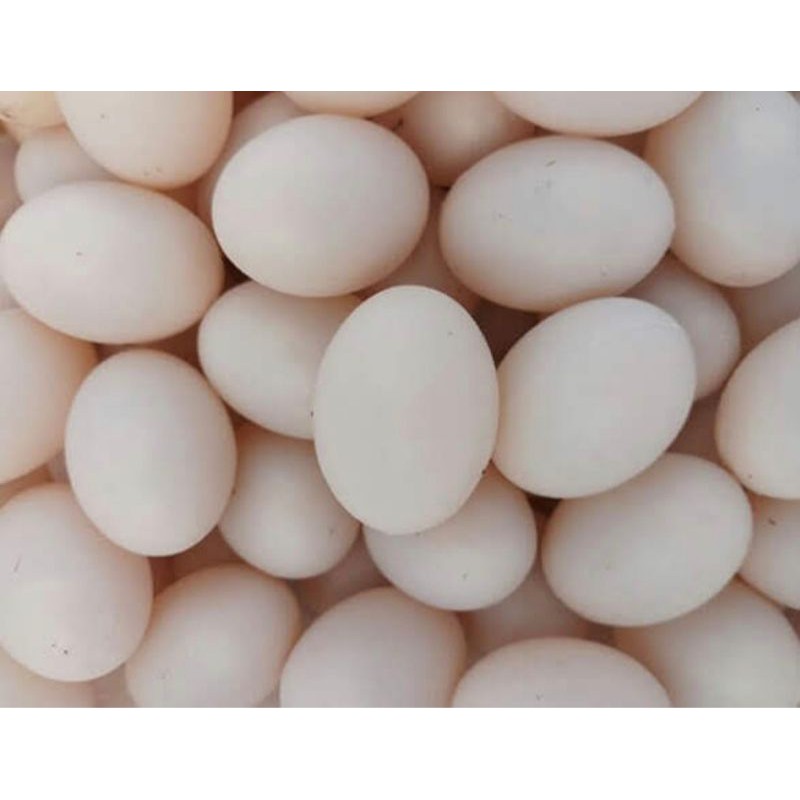 40 Trứng giả bồ câu ( trứng nước)