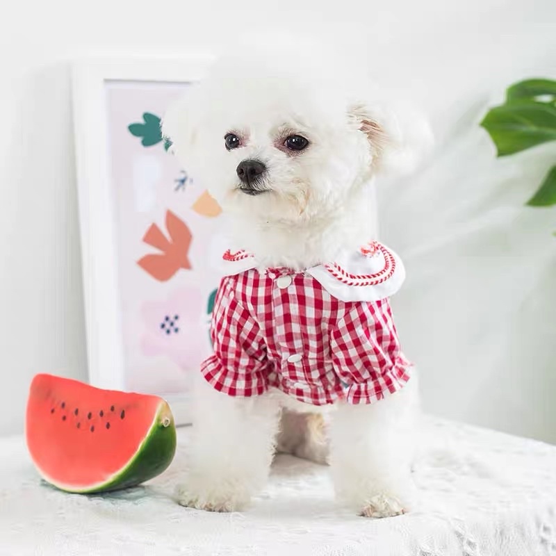 Áo thiết kế cho chó mèo - áo sơ mi Hàn Quốc cổ sen trắng thêu cá dễ thương cho thú cưng