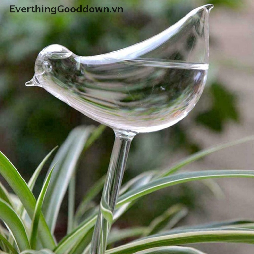 Everthinggood Bóng Đèn Trong Suốt Tự Tưới Nước Hình Chim Thổi Bằng Tay