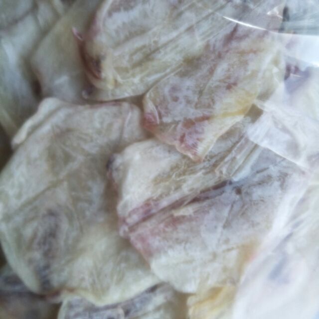 40 con mực không râu y hình Giá Chỉ 110k