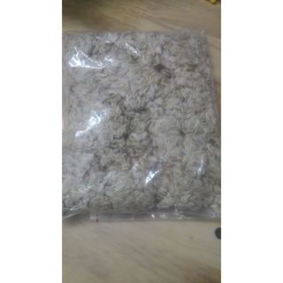 Hạt Giống Cúc bách nhật Mix 20 Hạt/ Gói