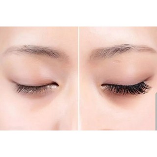 Mi hồng 5 cặp