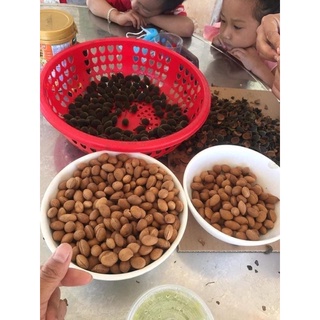 ❤️❤️ Trái Say Rừng Gia lai❤️❤️
