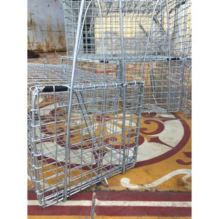 Sét 02 Bẫy chuột cống, sóc MÓC không rỉ sét