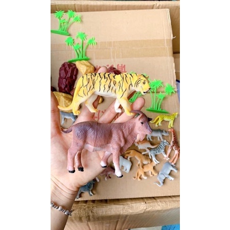 Bộ mô hình động vật