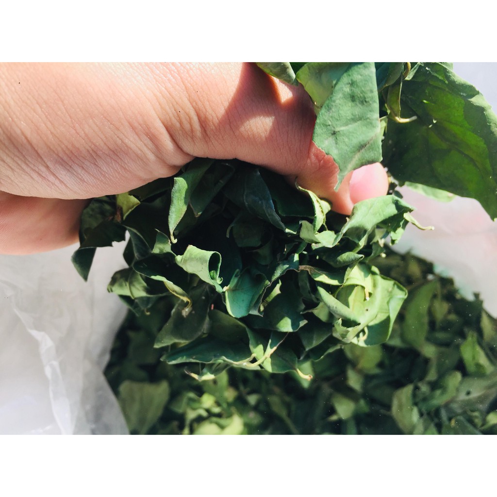 Lá găng khô làm thạch xanh khô 500g,1kg