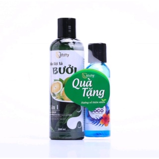 Dầu Gội Xã Bưởi Catchy