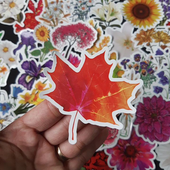 Bộ Sticker dán cao cấp chủ đề BÔNG HOA - FLOWERS - Dùng dán Xe, dán mũ bảo hiểm, dán Laptop...