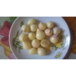 1kg TỎI 1 NHÁNH ĐIỆN BIÊN