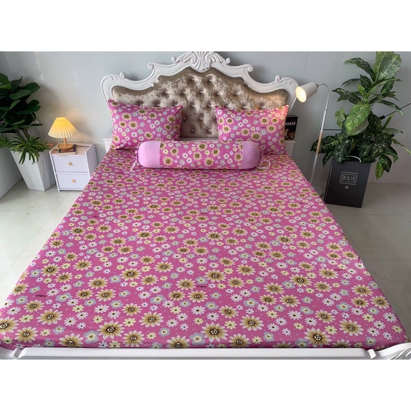 Bộ Drap thun Hàn Quốc 4 mẫu hoa cúc nhí siêu xinh
