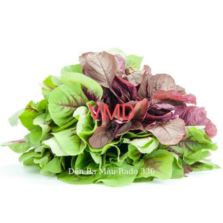 Hạt giống Rau Dền Ba Màu