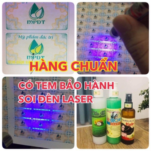 Bộ dầu gội bưởi kích mọc tóc giúp tóc nhanh dài , chống rụng tóc, tóc xơ rối, chẻ ngọn chính hãng thương hiệu mpđt | BigBuy360 - bigbuy360.vn