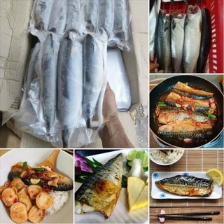 Cá thu nhậ.t. 1kg