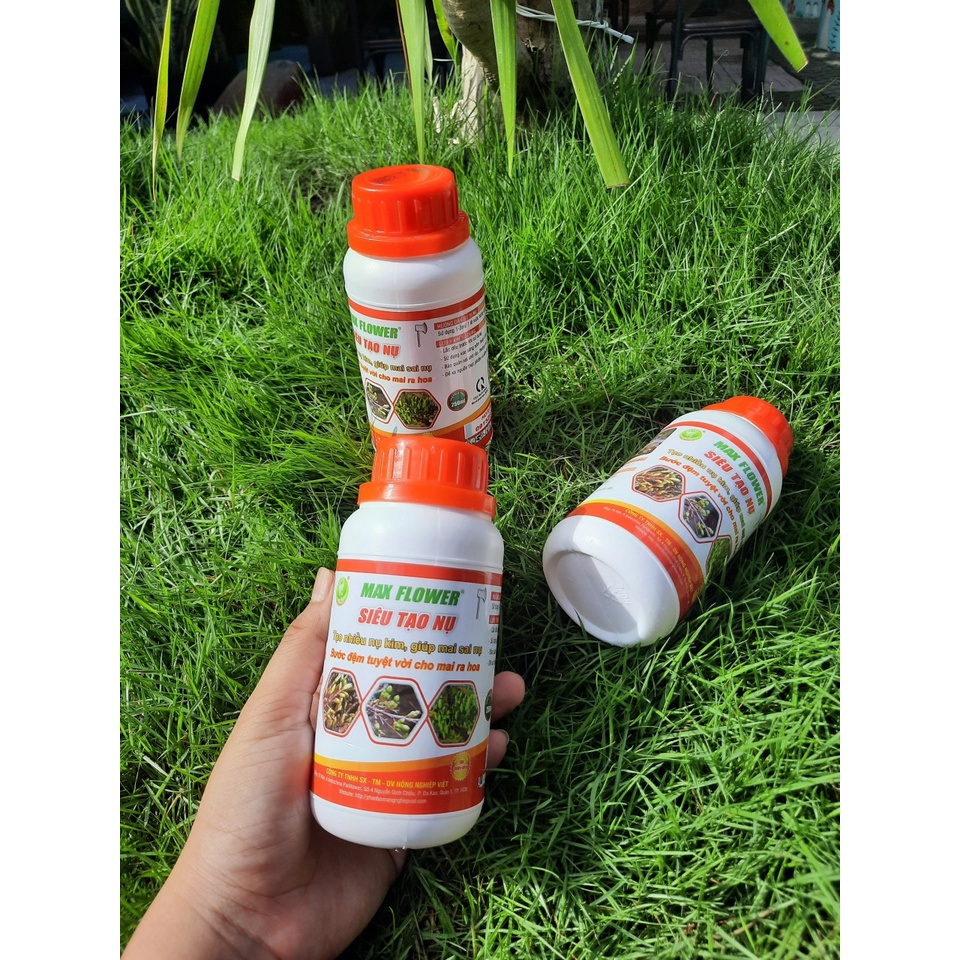 SIÊU TẠO NỤ MAI