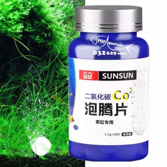 CO2 Dạng Viên Nén Cho Hồ Thủy Sinh (60 Viên/Hộp)