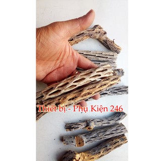 Lũa Cholla Cactus nhập khẩu châu Mỹ nhà cho tép cảnh thủy sinh (1 thanh)