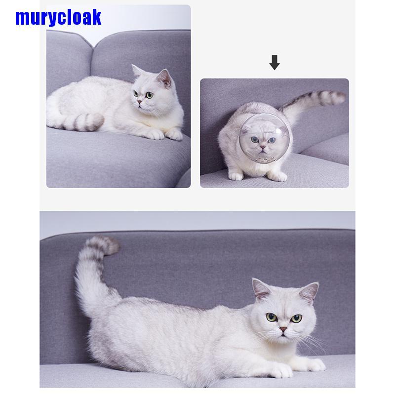 Mũ trùm đầu mèo rọ mõm chống cắn thoáng khí bảo vệ