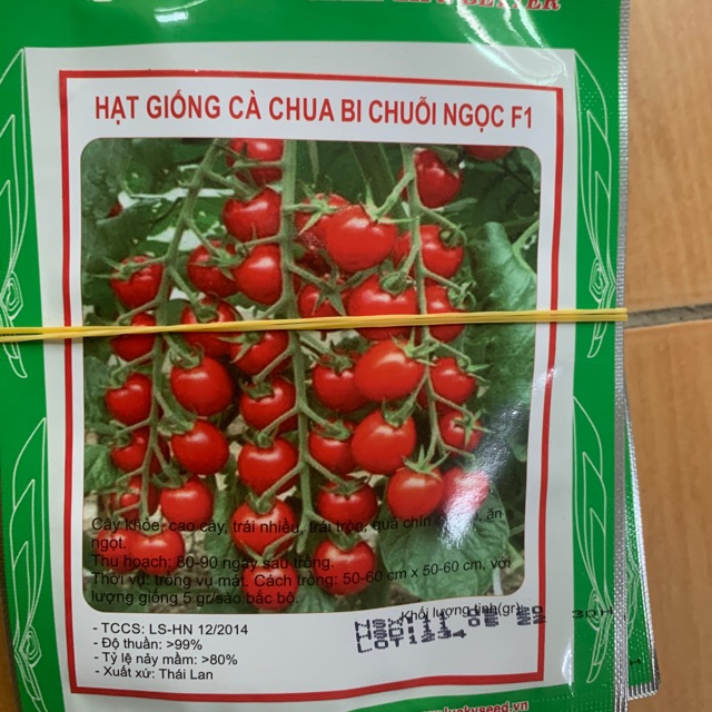 Hạt giống Cà chua bi chuỗi ngọc