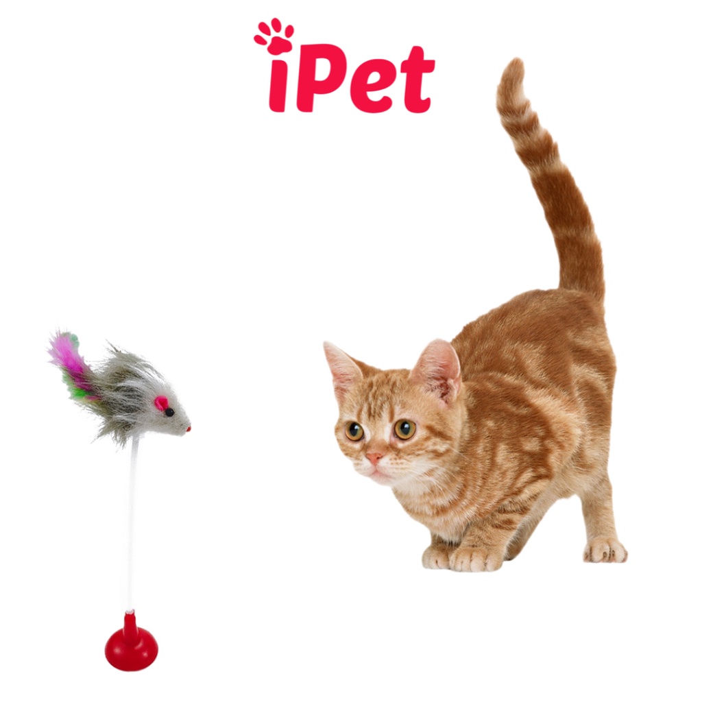 Chuột Đồ Chơi Có Mút Gắn Cho Chó Mèo Vờn - iPet Shop