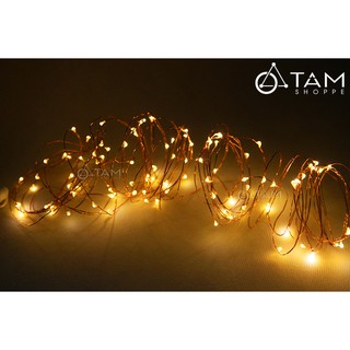 Dây đèn Led đom đóm TAN