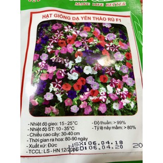 HẠT GIỐNG DẠ YẾN THẢO RỦ F1 nhập khẩu-  chuyên dụng.