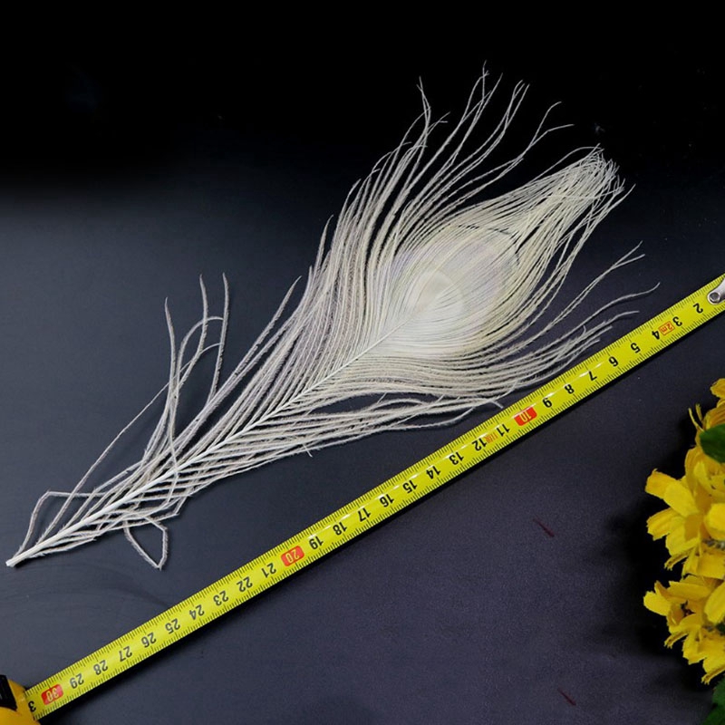 Bộ 50 Lông Công Trắng 10-12 Inches Trang Trí