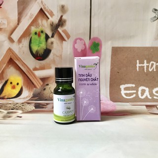 Tinh dầu tràm gió