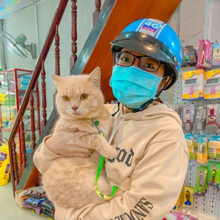 iamminhngo